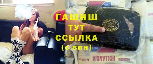 шишки Няндома