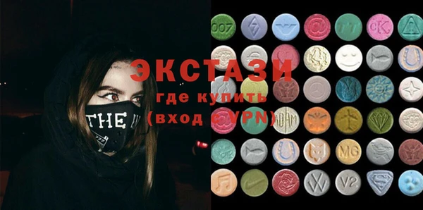 шишки Няндома