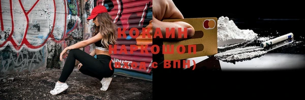шишки Няндома