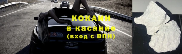 шишки Няндома
