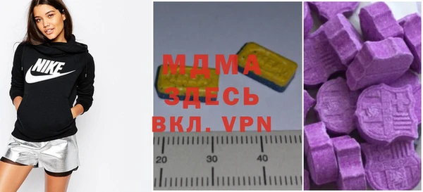 шишки Няндома