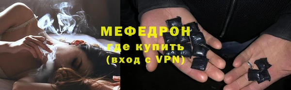 шишки Няндома