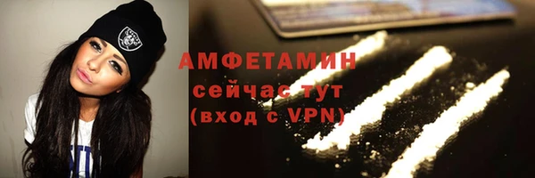 шишки Няндома