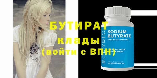 шишки Няндома