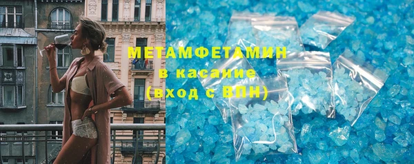 шишки Няндома