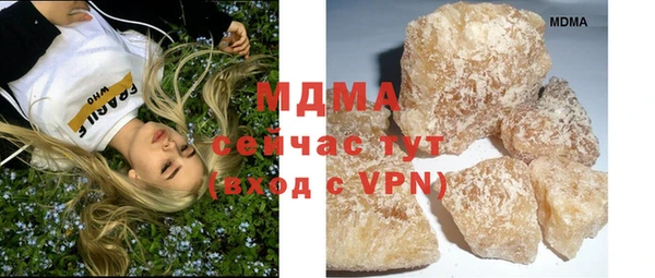 шишки Няндома