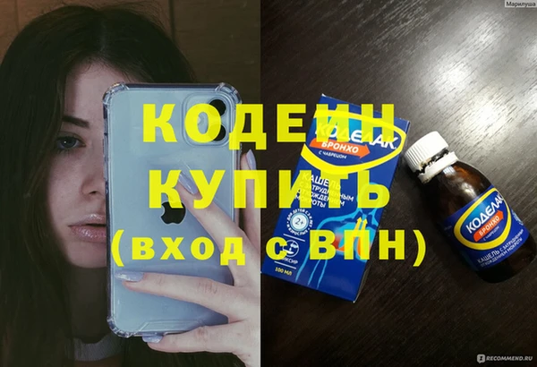 шишки Няндома