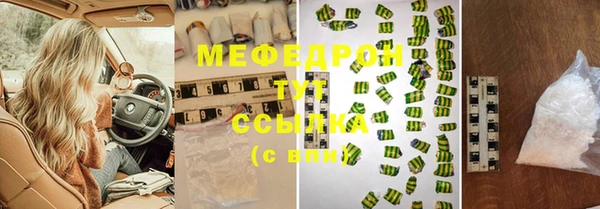 шишки Няндома