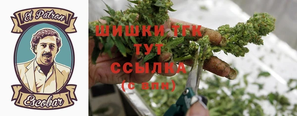 шишки Няндома