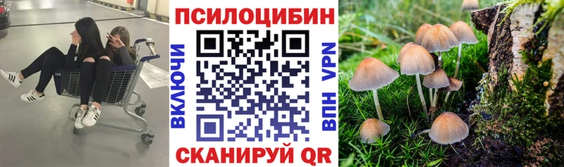 Псилоцибиновые грибы Psilocybine cubensis даркнет сайт Куса